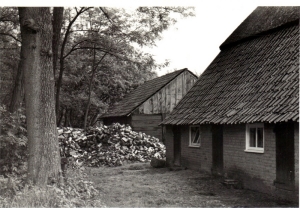 F01 Hakhout bij boederij Het Hiemke, 1965